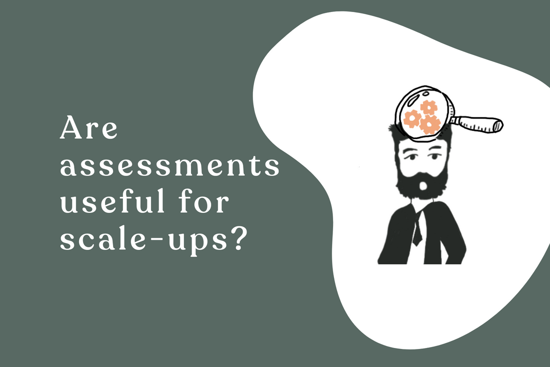 Are assessments useful for scale-ups
